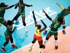 极速电竞- lolscout 