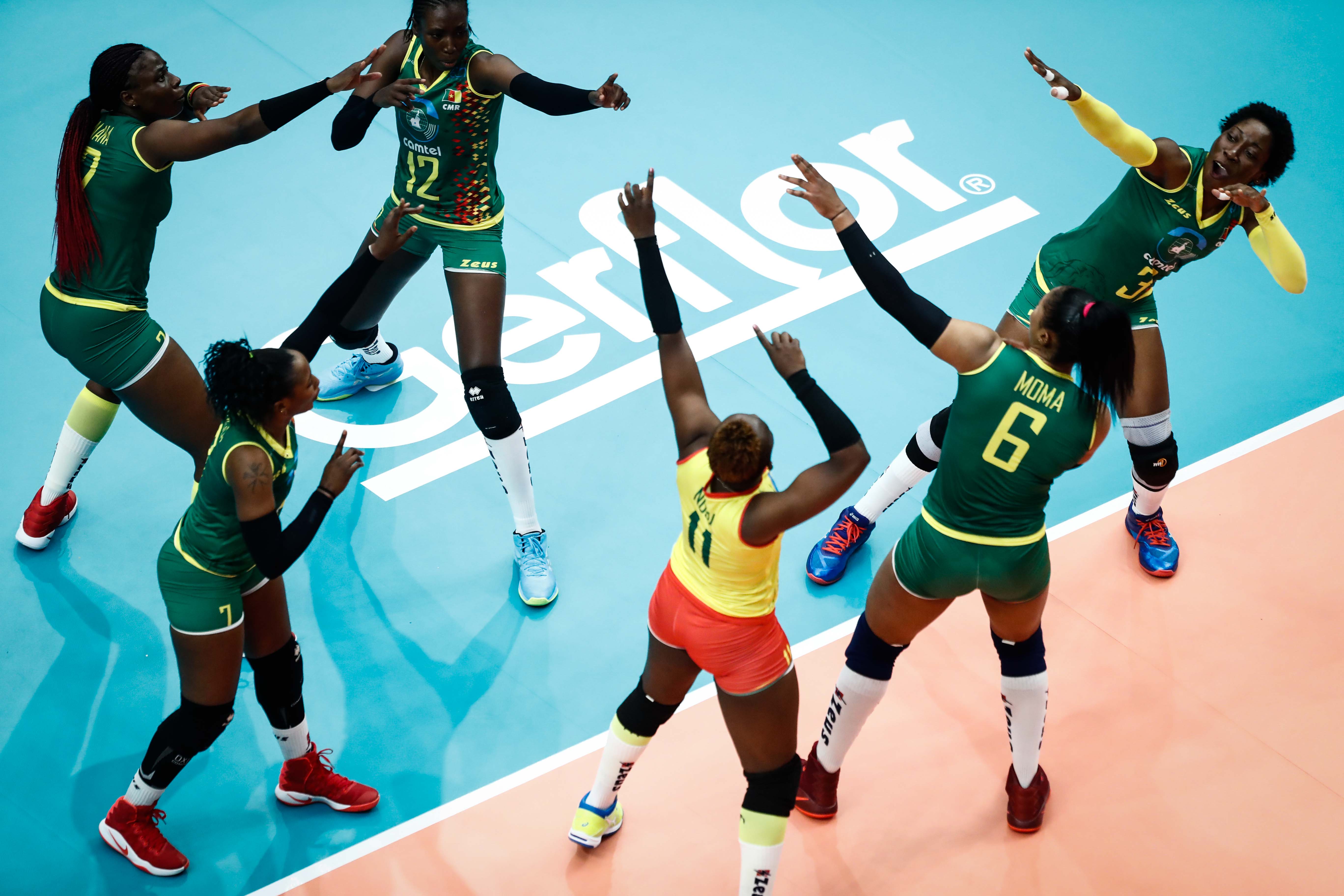 极速电竞- lolscout 