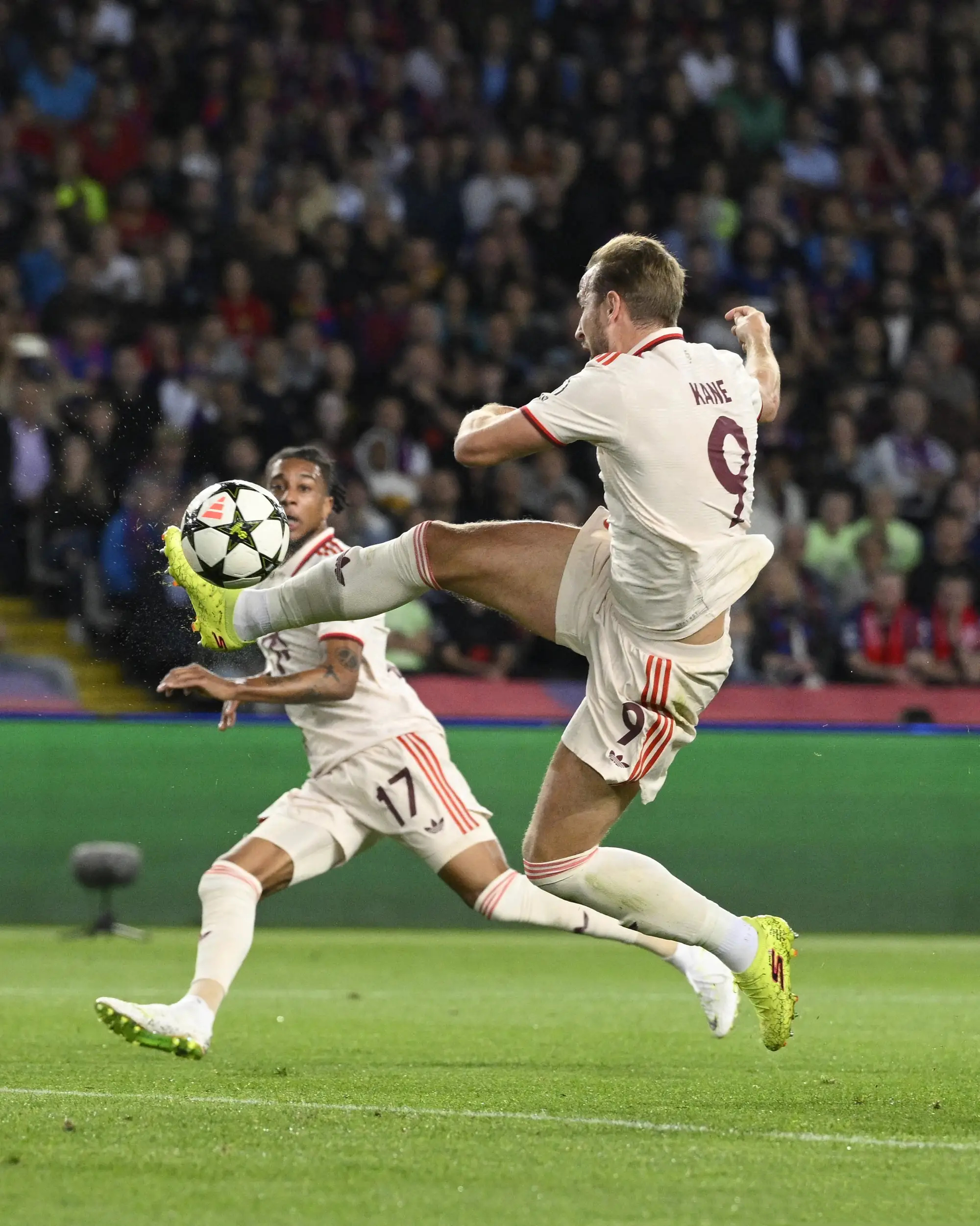 极速竞技-莎拉波娃在拜仁比赛中绝杀，问鼎冠军引发热议！的简单介绍